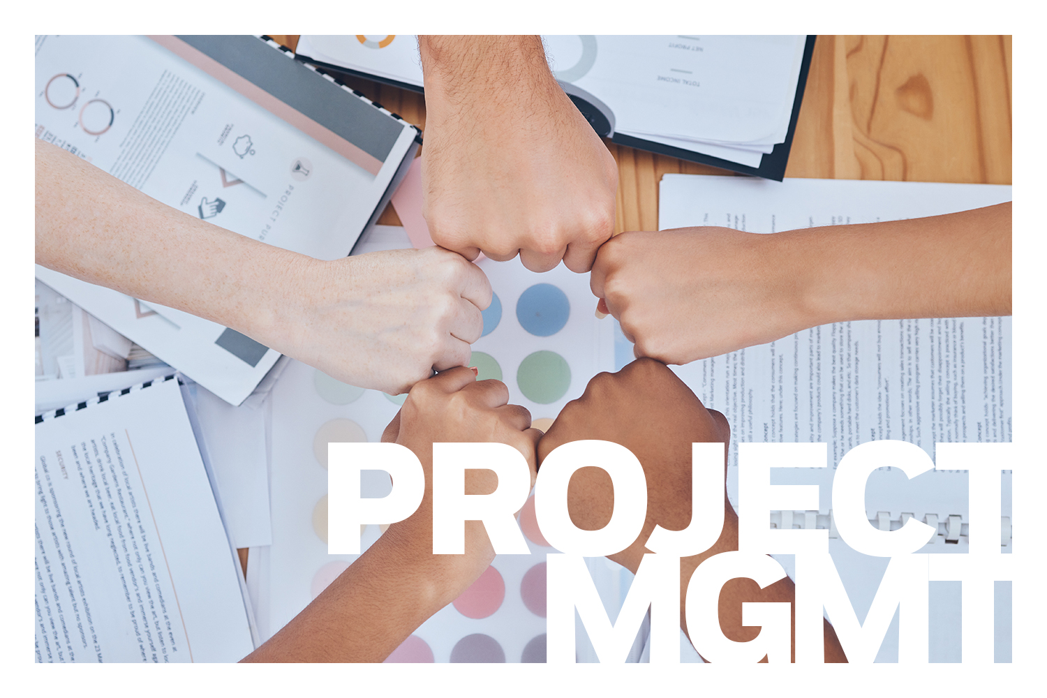 Project Management Services | Dane O'Leary Media